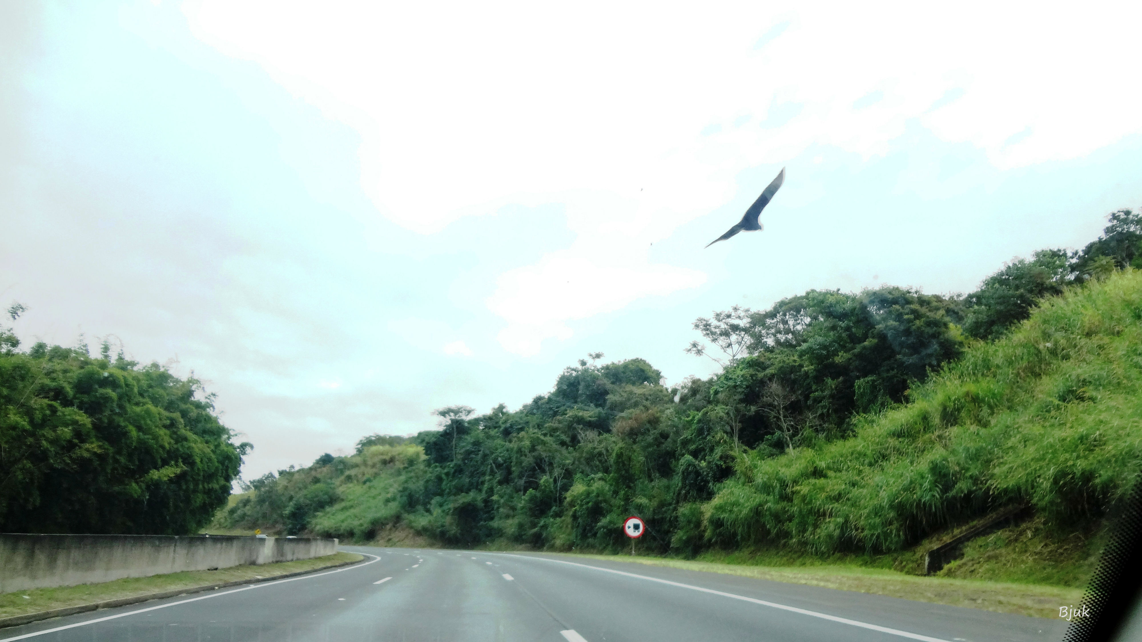 Muca Muriçoca - Calma princesa. Estou chegando montado em meu cavalo branco  para te salvar.